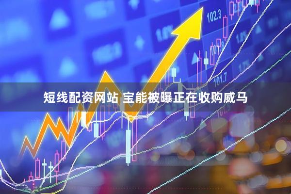 短线配资网站 宝能被曝正在收购威马