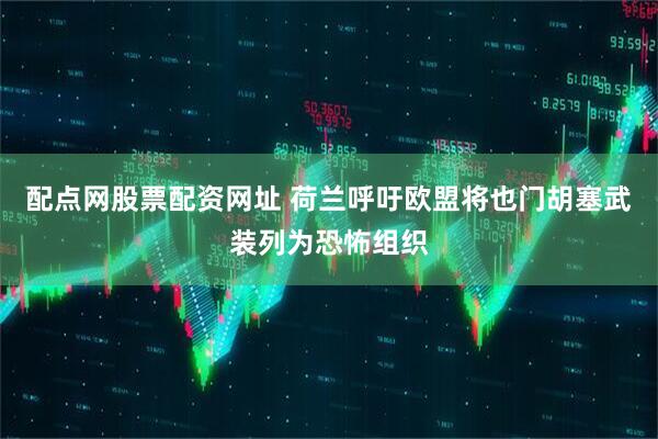 配点网股票配资网址 荷兰呼吁欧盟将也门胡塞武装列为恐怖组织